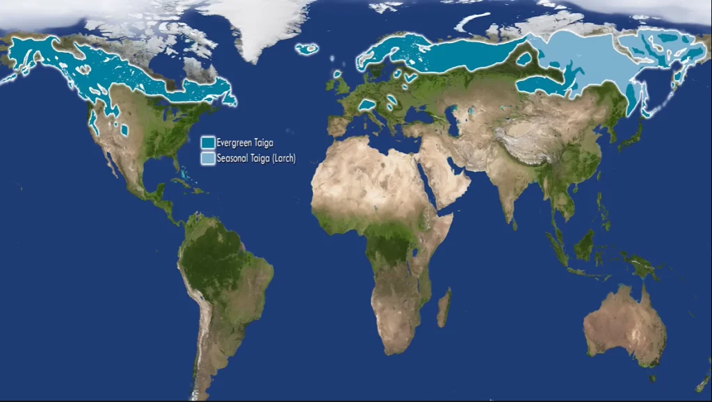 A Map of Taiga Biome across the Globe